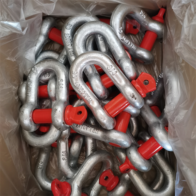 Grillete de cadena forjado al por mayor